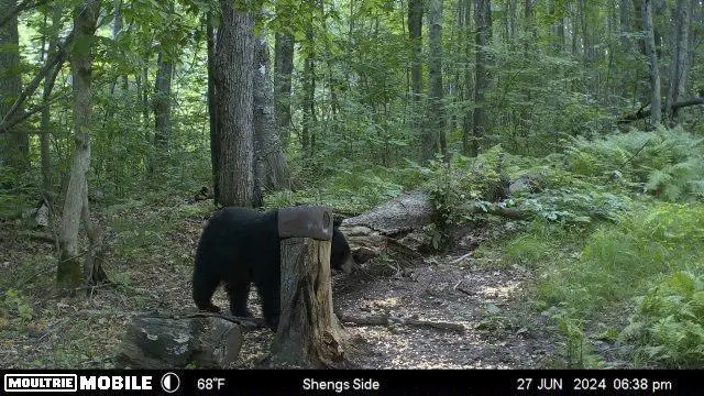 40384 Rutabaga Road, Askov, MN 55704 - #3