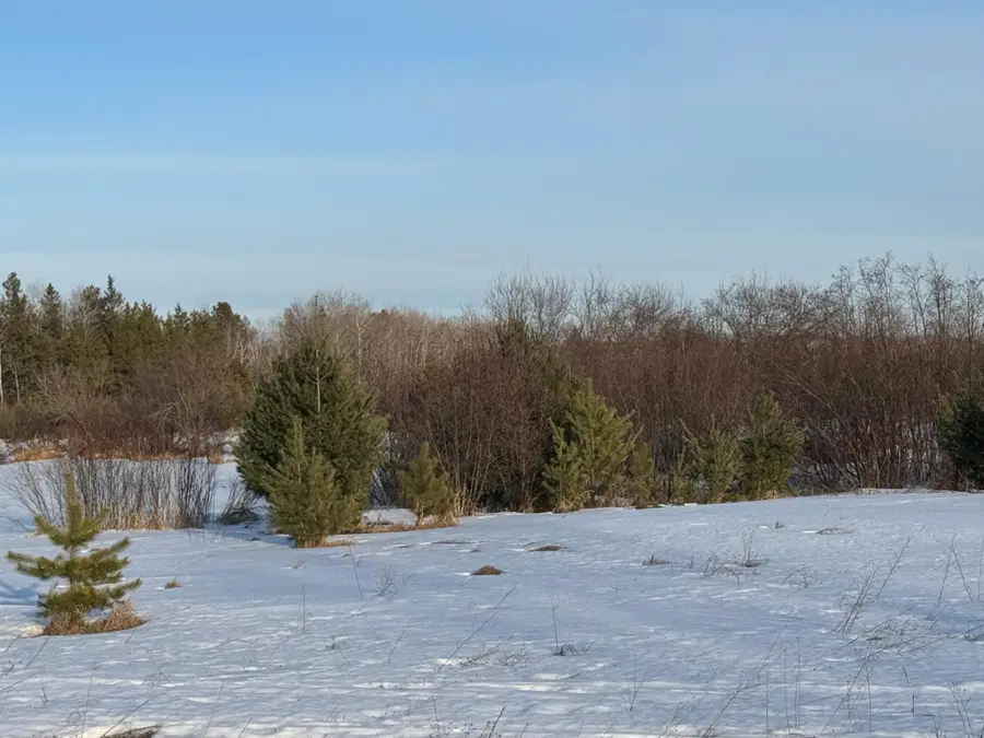 TBD Scotch Pine Road, Finlayson, MN 55735 - #2