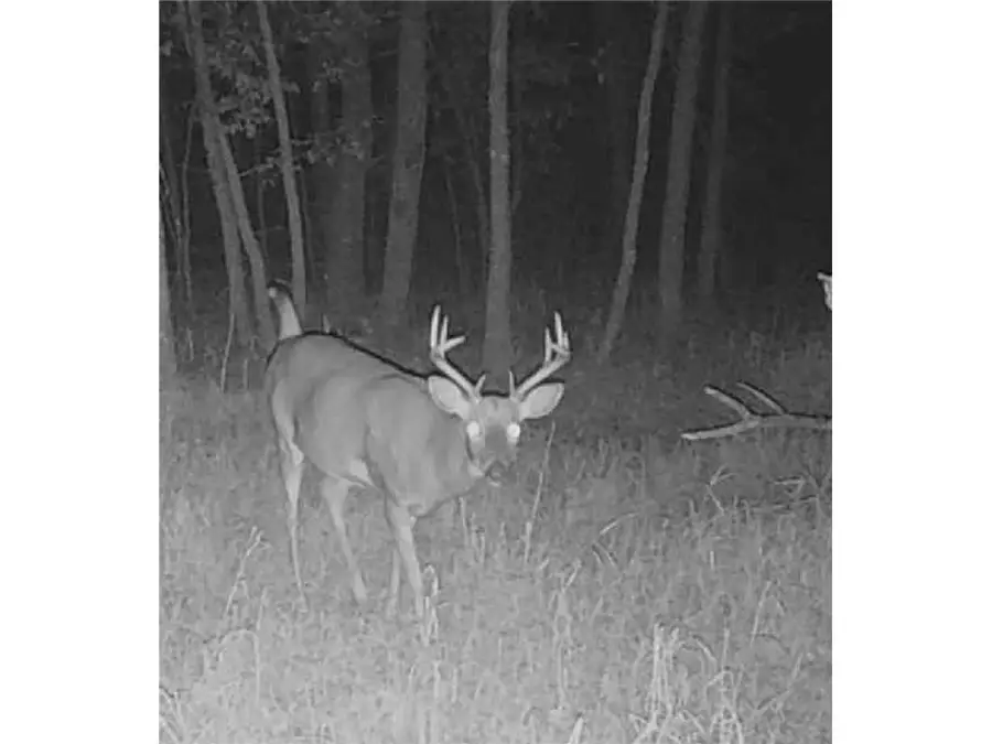 12157 Butternut Road, Brainerd, MN 56401 - #3