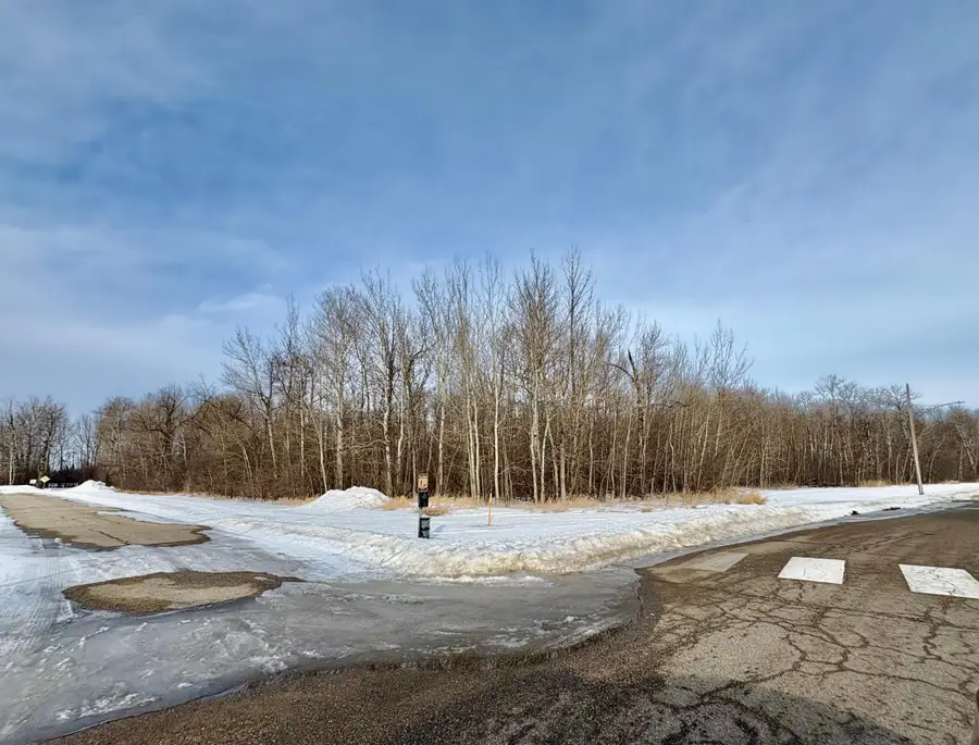 TBD Gladys St Ne, Warroad, MN 56763 - #2