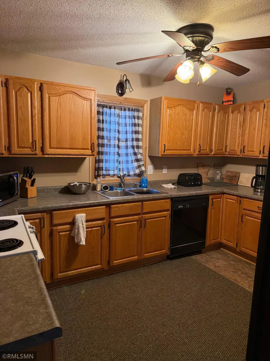 55249 County Road 38, Buffalo Lake, MN 55314 - #3