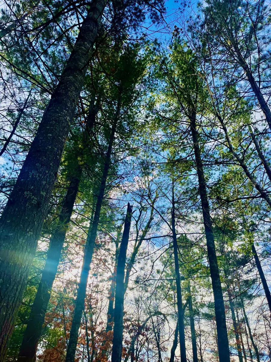 37336 Teal Drive, Sturgeon Lake, MN 55783 - #2