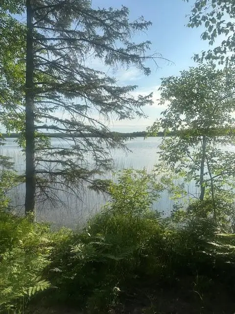 TBD Vandermeer Court Nw, Bemidji, MN 56630