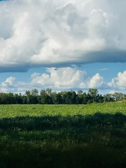 8XXX Rushseba Trail, Rush City, MN 55069 - #1