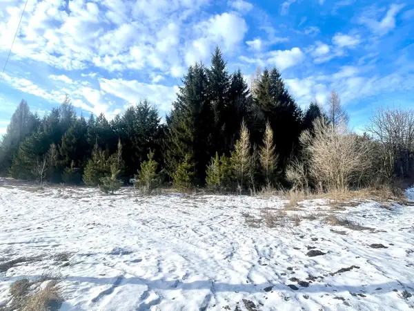 46.67 acres 630th Street, Colfax, WI 54730