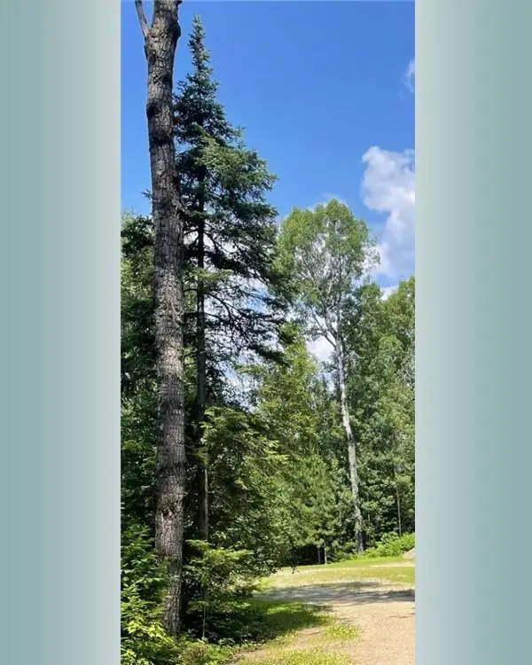 23XX Low Creek Road, Ely, MN 55731 - #3