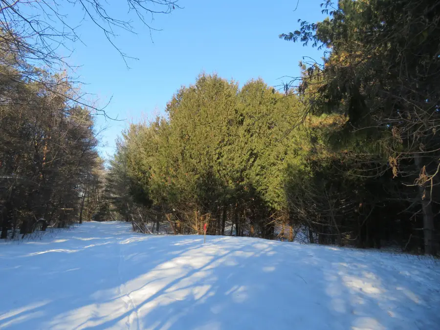 Lot 2 E Lincoln Ave, Amery, WI 54001 - #2