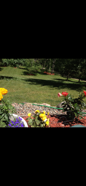 10883 Maya Circle, Pequot Lakes, MN 56472 - #3