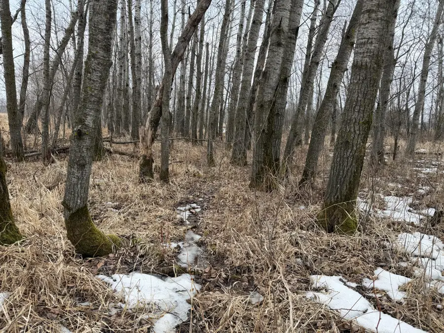 TBD-B 180th Street, Milaca, MN 56353 - #3