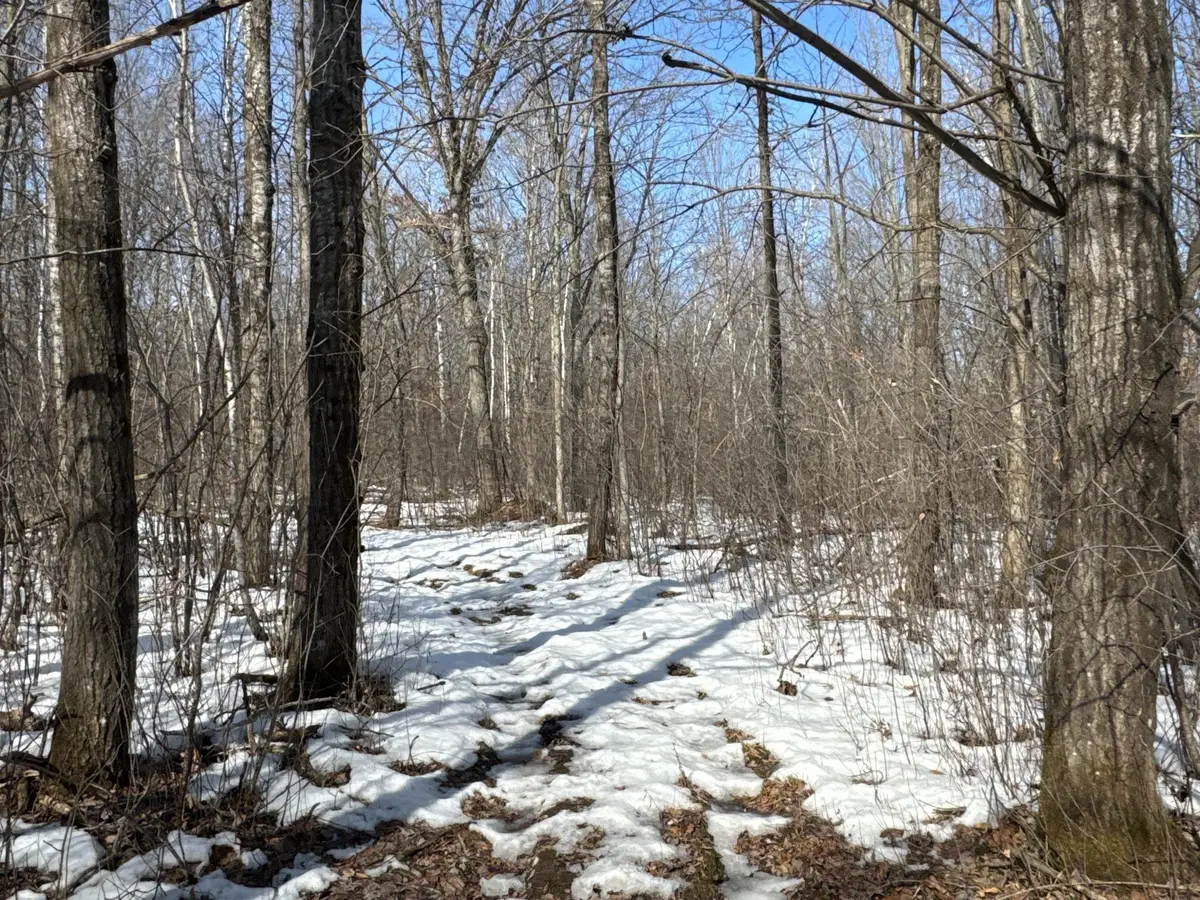 27XX 11th Avenue, Chetek, WI 54728 - #1