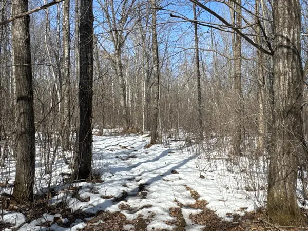 27XX 11th Avenue, Chetek, WI 54728