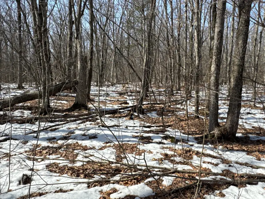 27XX 11th Avenue, Chetek, WI 54728 - #3