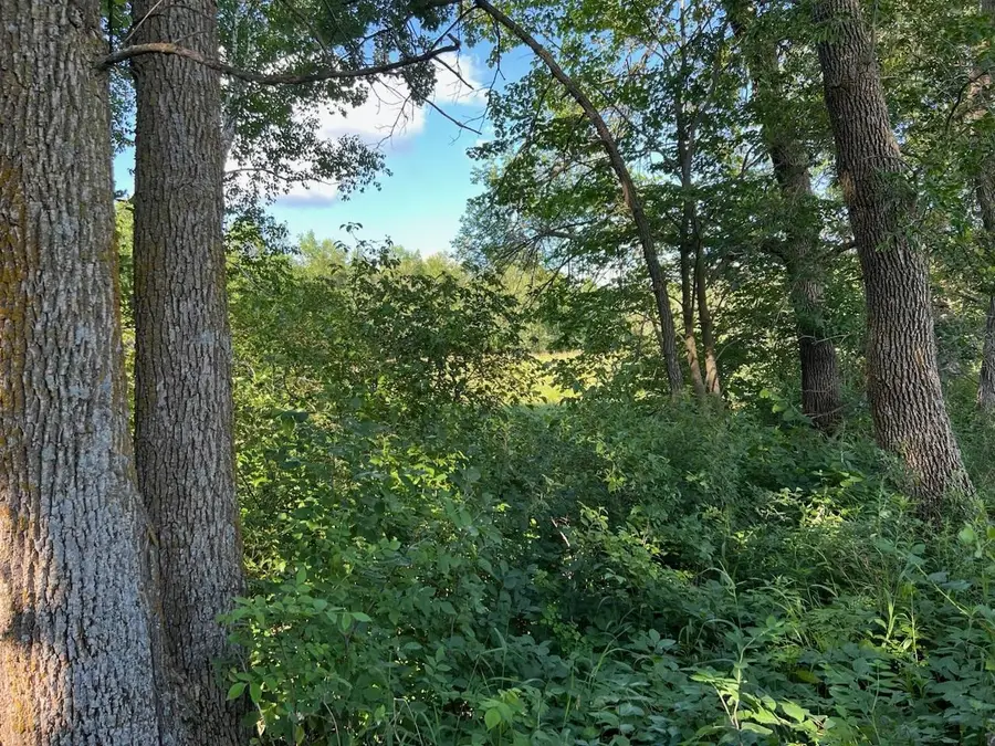 C-1 Co Hwy 17, Vergas, MN 56587 - #3