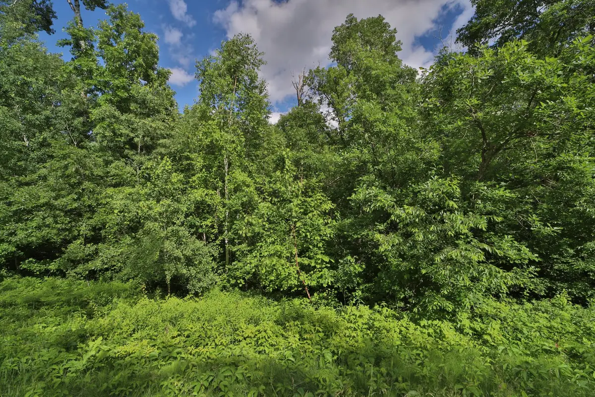 TBD Percheron Drive, Breezy Point, MN 56472 - #1