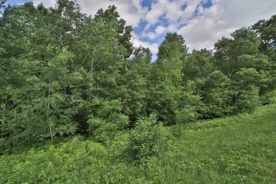 TBD Percheron Drive, Breezy Point, MN 56472 - #3
