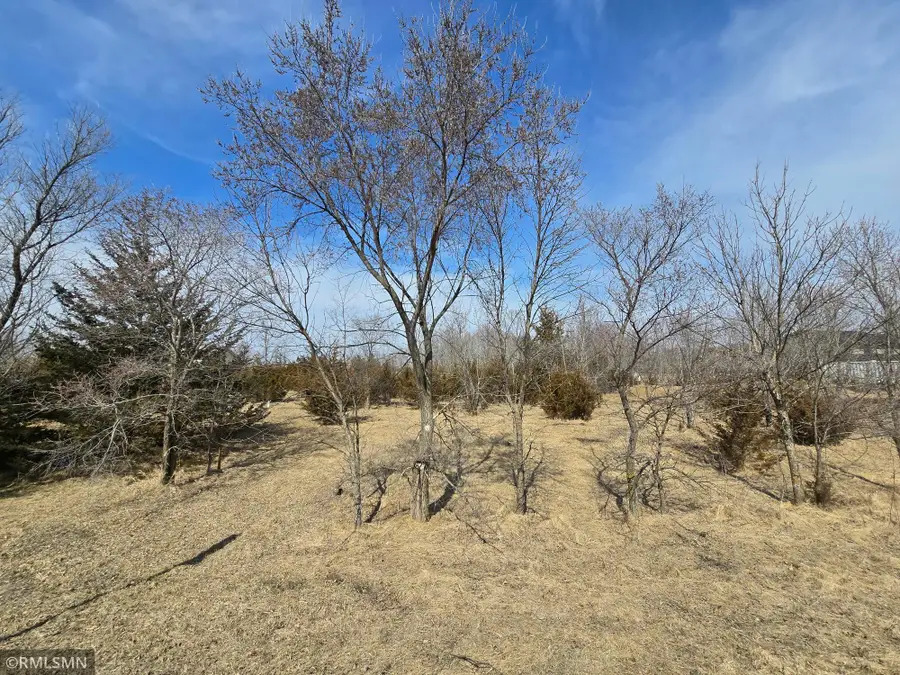 316 Woodsedge Road, Clearwater, MN 55320 - #3