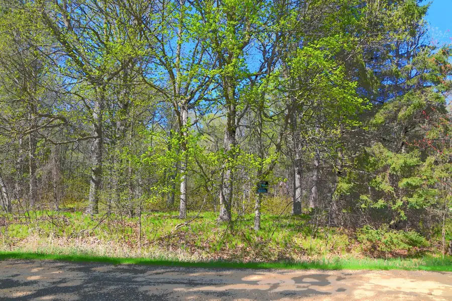 TBD Plum Drive, Browerville, MN 56438 - #2