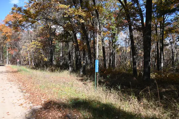 38970 Odin Court, Browerville, MN 56438