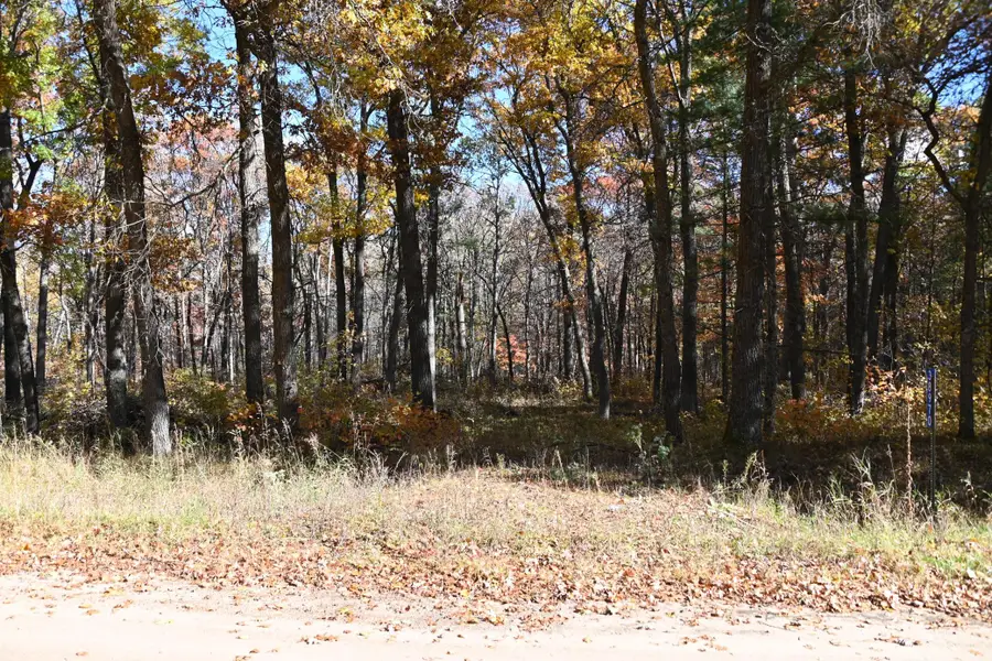 38970 Odin Court, Browerville, MN 56438 - #2