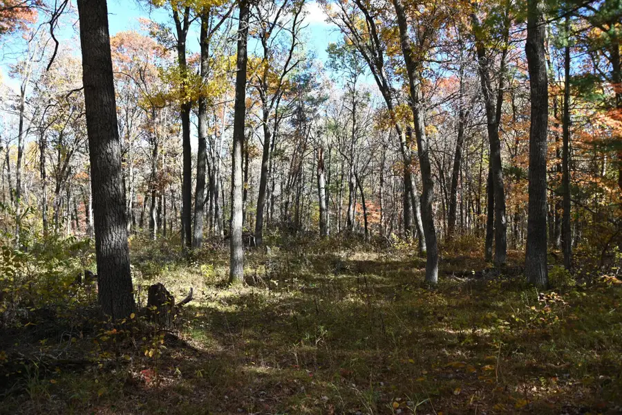 38970 Odin Court, Browerville, MN 56438 - #3