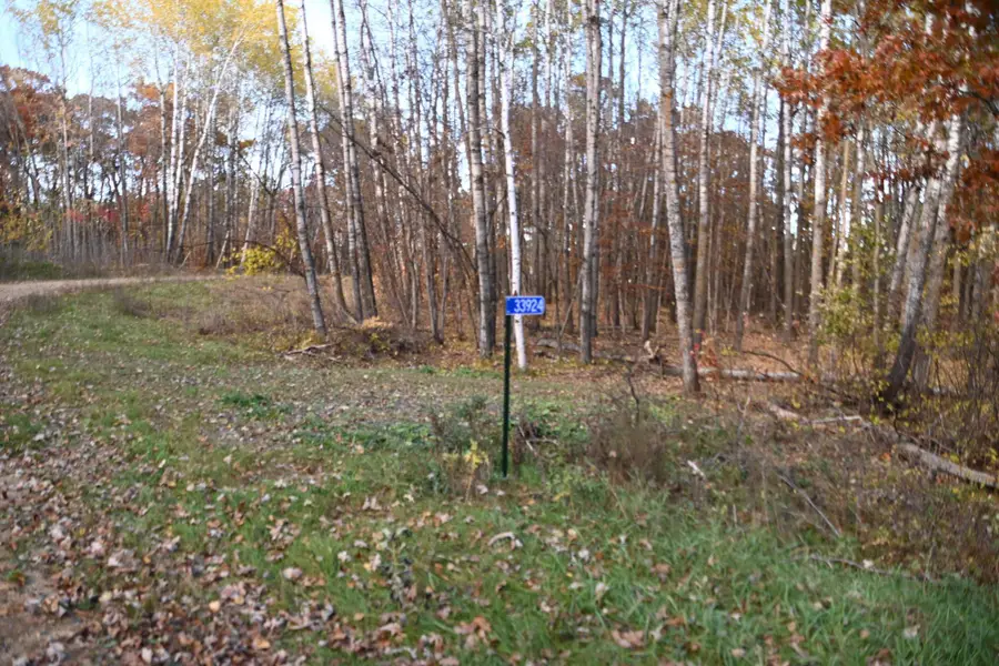 39924 Oriole Court, Browerville, MN 56438 - #3