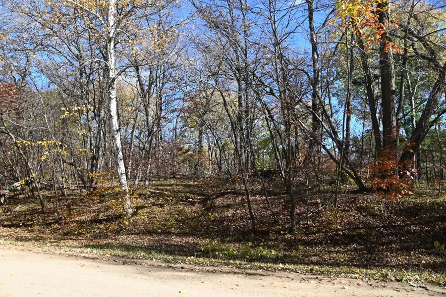 39906 Pine Island Pt Drive, Browerville, MN 56438 - #3