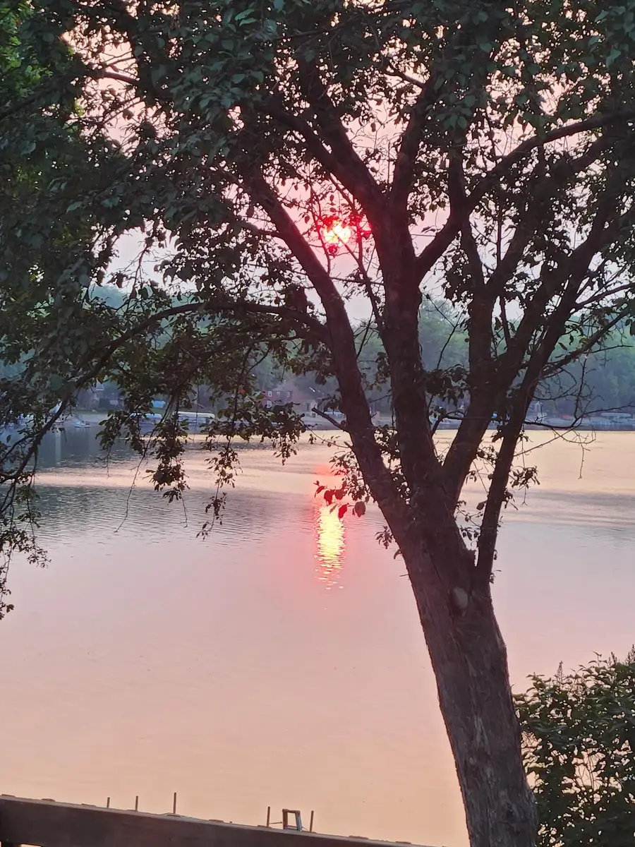 7175 Highway 71 Ne, Willmar, MN 56201 - #3