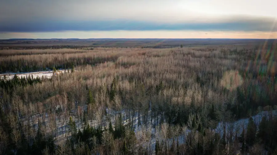 TBD Parcel S Thomas Road, Tower, MN 55790 - #2