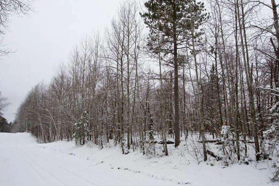 TBD Sheridan Woods Lane Ne, Outing, MN 56662 - #3