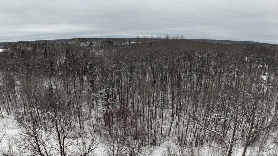 XXXX Sheridan Woods Lane Ne, Outing, MN 56662 - #3