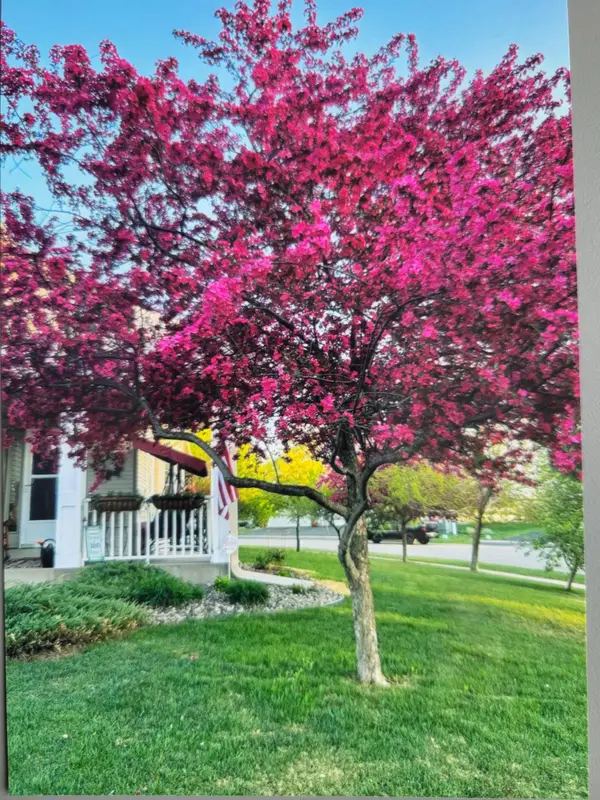 66 Meadowlark Drive, Hudson, WI 54016