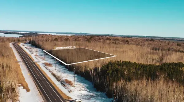 TBD Parcel 18 Hwy 115, Tower, MN 55790