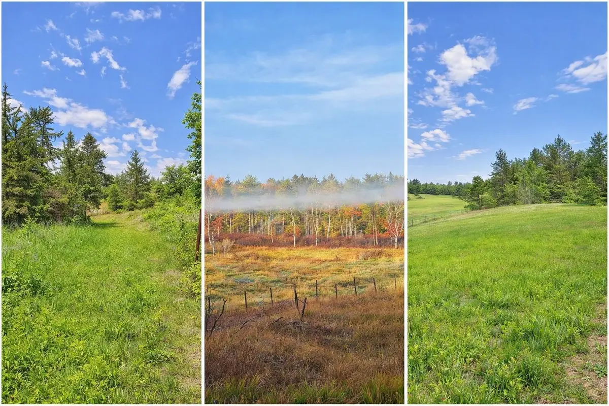 xxx County Road 134, Pine River, MN 56474 - #1