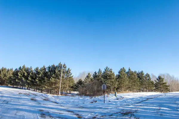 TBD 310th Street, Deer Creek, MN 56527