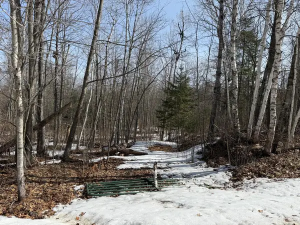 Lot 7 Block 1 Yellow Birch Ln, Emily, MN 56447