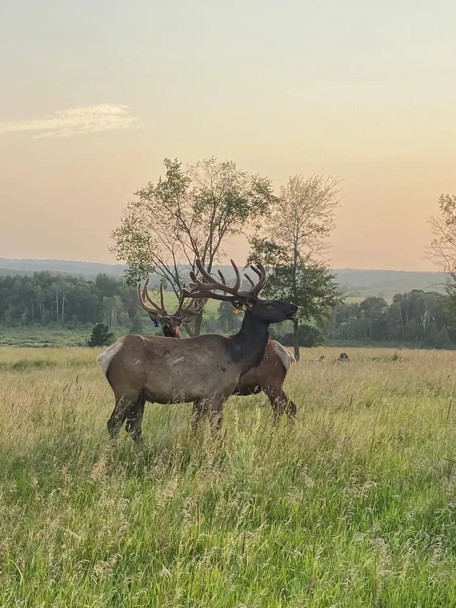 30423 Grosbeak Road, Long Prairie, MN 56347 - #3