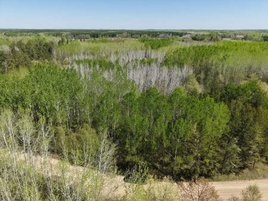 TBD 10 Bog Lake Trail, Osage, MN 56570 - #3