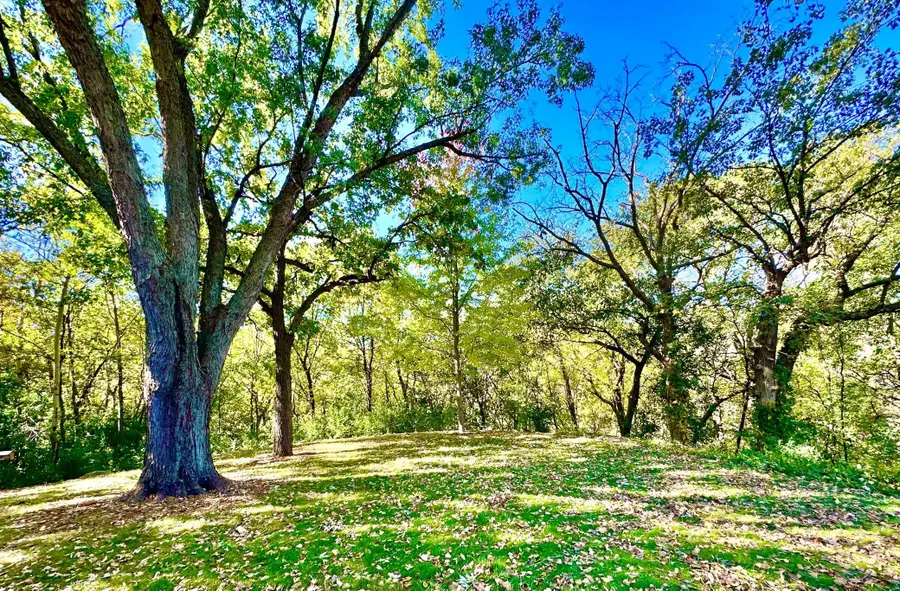 13220 Parkwood Drive, Burnsville, MN 55337 - #3