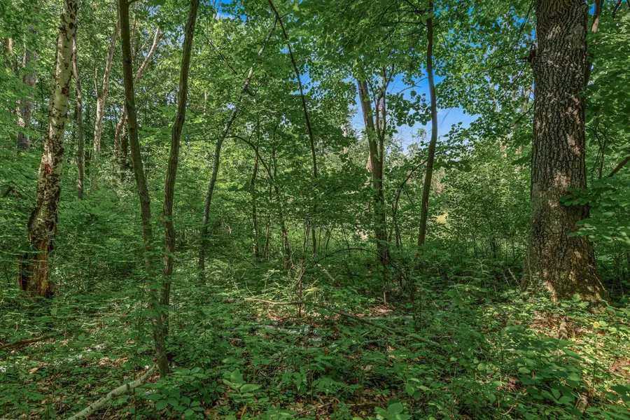 25179 Itasca Avenue, Forest Lake, MN 55025 - #2