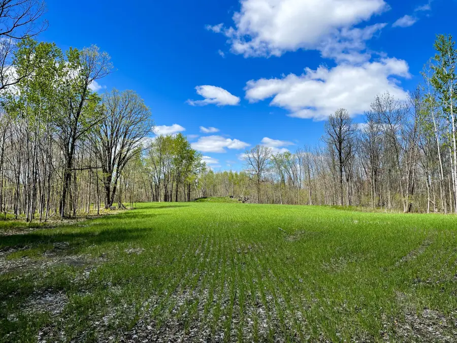 TBD 15th Street Nw, Bemidji, MN 56601 - #2