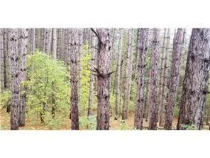 Lot 4 Paulsen Lake Lane, Osceola, WI 54020 - #3