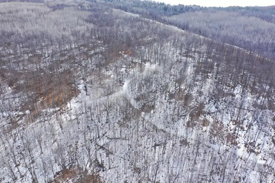 TBD 315th Avenue, Laporte, MN 56461 - #3