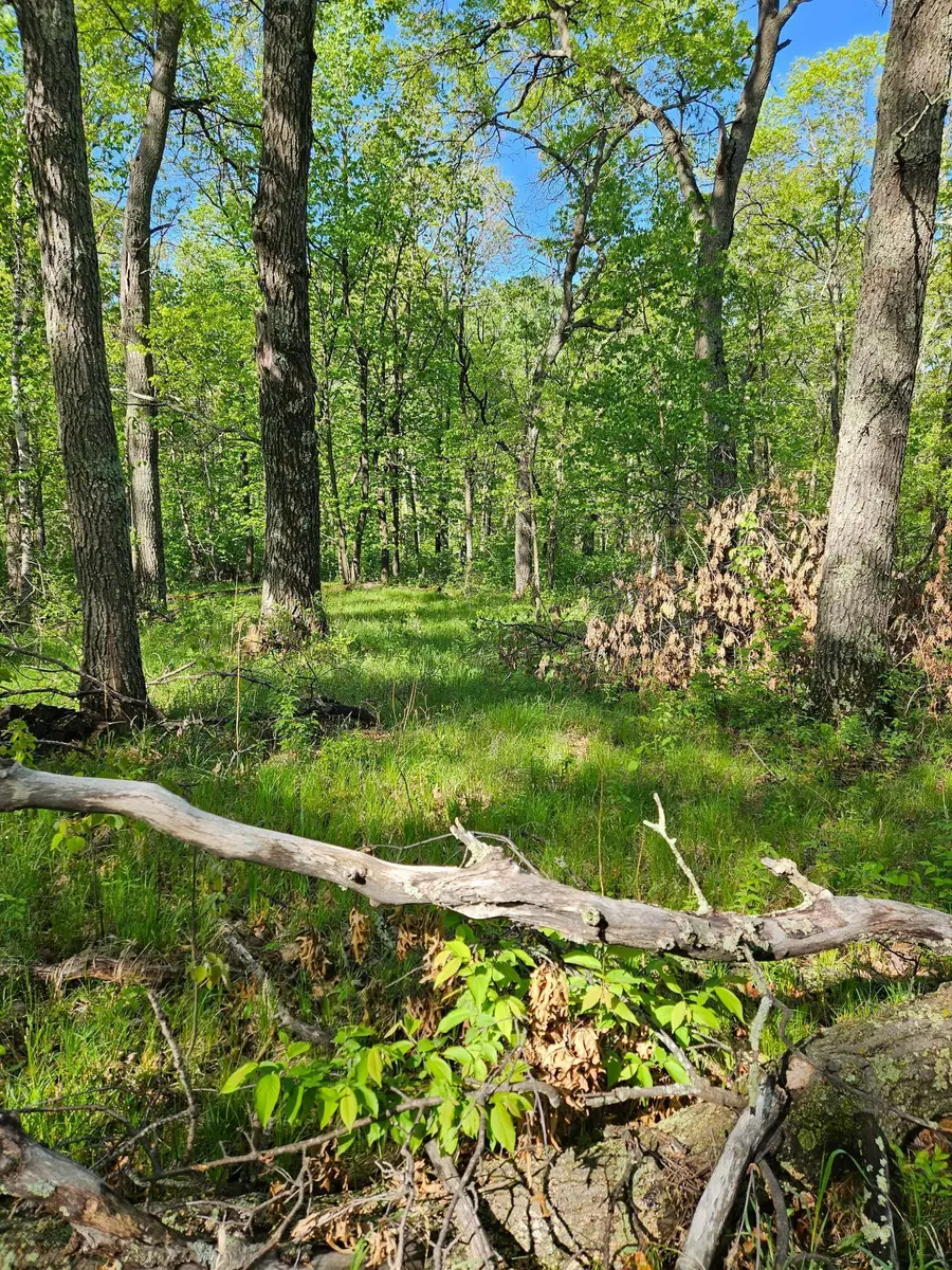 TBD Lot 49, Blk 1 Huron Dr., Breezy Point, MN 56472 - #3