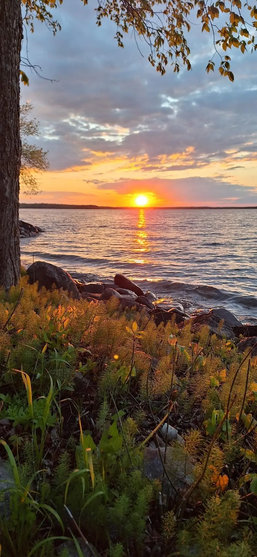 7524 Blue Water Beach Road Nw, Walker, MN 56484 - #2