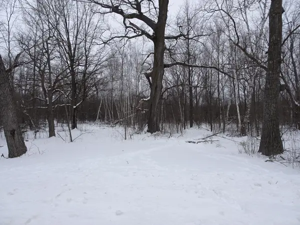 XXX 150th Street, Milltown, WI 54858