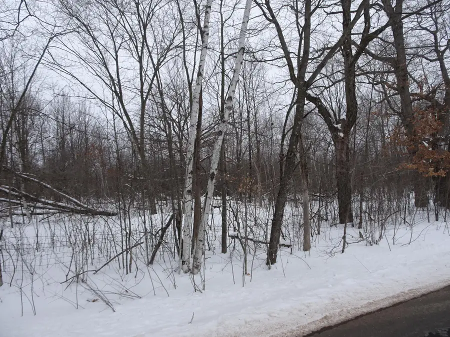 XXX 150th Street, Milltown, WI 54858 - #2