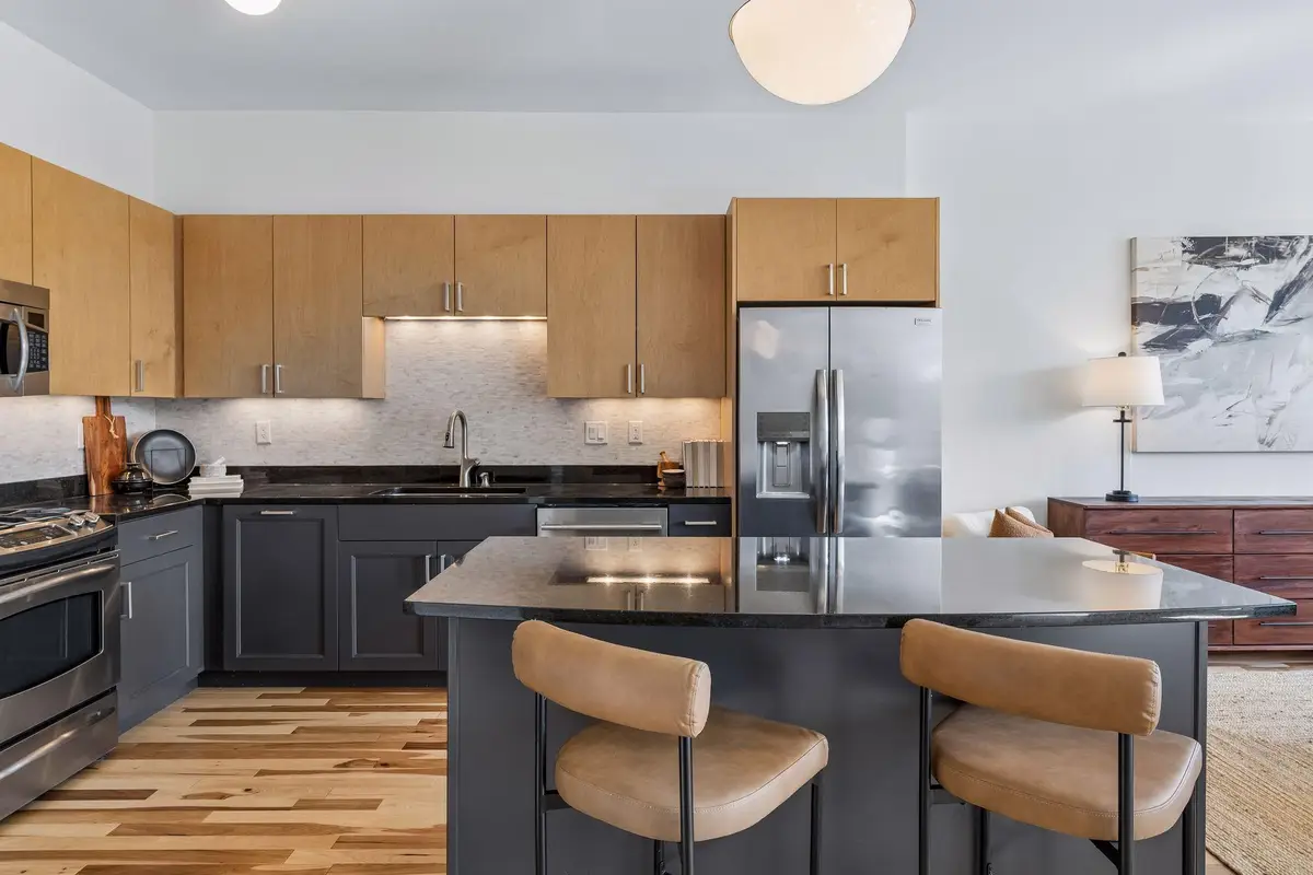 215 10th Avenue S #707, Minneapolis, MN 55415 - #1