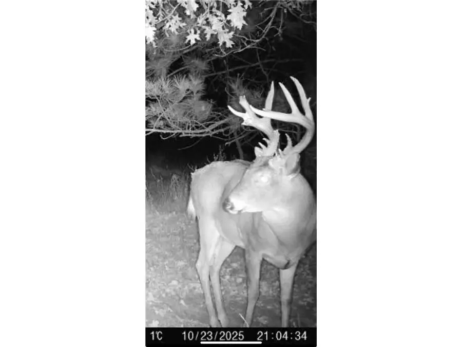 TBD Variolite St Nw, Princeton, MN 55371 - #3