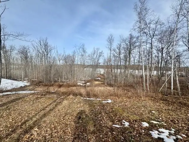 Lot 4 Blk 1 216th Place, McGregor, MN 55760 - #3