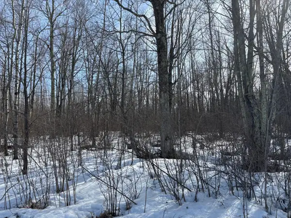 TBD Erickson Road, Kettle River, MN 55757